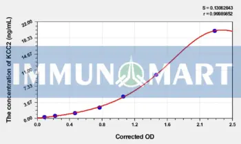 Rat KCC2(Potassium Chloride Cotransporters 2) ELISA Kit