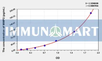 Rabbit MMP2(Matrix Metalloproteinase 2) ELISA Kit