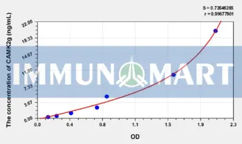 Rat CAMK2g(Calcium/Calmodulin Dependent Protein Kinase II Gamma) ELISA Kit