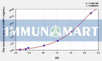 Human GRIP1(Glutamate Receptor Interacting Protein 1) ELISA Kit