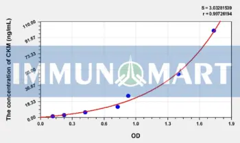 Rabbit CKM(Creatine Kinase, Muscle) ELISA Kit