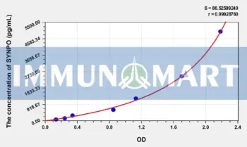 Human SYNPO(Synaptopodin) ELISA Kit