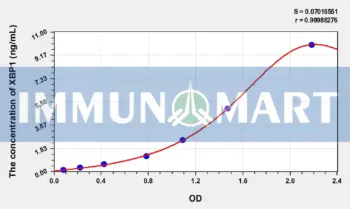 Human XBP1(X-Box Binding Protein 1) ELISA Kit