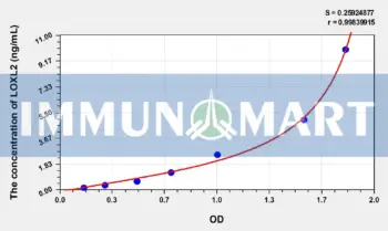 Human LOXL2(Lysyl Oxidase Like Protein 2) ELISA Kit