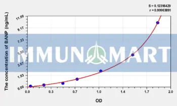 Human BANP(BTG3 Associated Nuclear Protein) ELISA Kit
