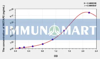 Human METAP2(Methionyl Aminopeptidase 2) ELISA Kit