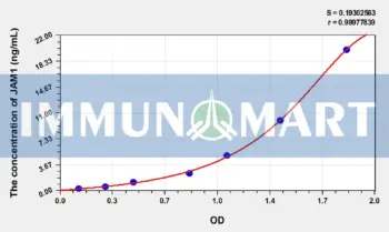 Human JAM1(Junctional Adhesion Molecule 1) ELISA Kit