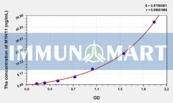 Human MYH11(Myosin Heavy Chain 11, Smooth Muscle) ELISA Kit