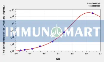Human DNMT3A(DNA Methyltransferase 3A) ELISA Kit