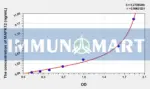 Human MAPK12(Mitogen Activated Protein Kinase 12) ELISA Kit