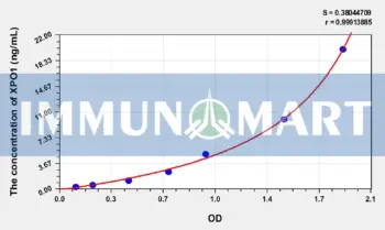 Human XPO1(Exportin 1) ELISA Kit