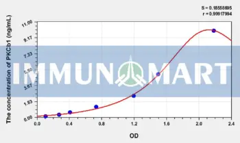 Human PKCb1(Protein Kinase C Beta 1) ELISA Kit
