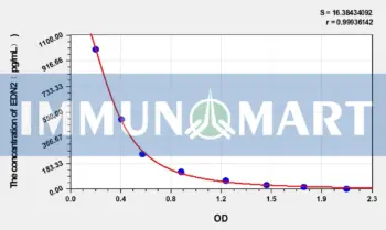Human EDN2(Endothelin 2) ELISA Kit
