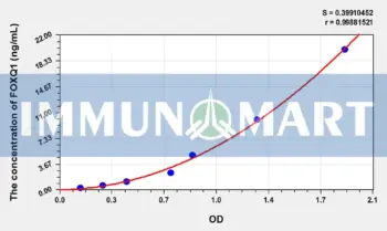 Human FOXQ1(Forkhead Box Protein Q1) ELISA Kit