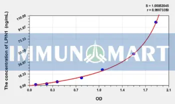 Human LPIN1(Lipin 1) ELISA Kit