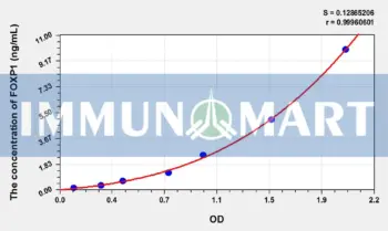 Human FOXP1(Forkhead Box Protein P1) ELISA Kit