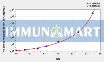 Human WNT5A(Wingless Type MMTV Integration Site Family, Member 5A) ELISA Kit