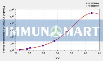 Human ANXA7(Annexin A7) ELISA Kit