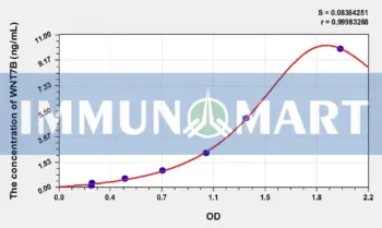 Human WNT7B(Wingless Type MMTV Integration Site Family, Member 7B) ELISA Kit