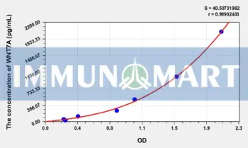 Human WNT7A(Wingless Type MMTV Integration Site Family, Member 7A) ELISA Kit