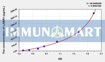 Human LAMR1(Laminin Receptor 1) ELISA Kit
