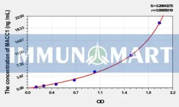 Human MACC1(Metastasis Associated In Colon Cancer 1) ELISA Kit