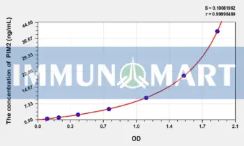 Human PIM2(Pim-2 Oncogene) ELISA Kit