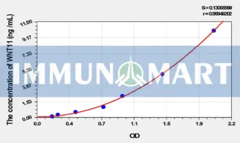 Human WNT11(Wingless Type MMTV Integration Site Family, Member 11) ELISA Kit