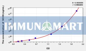 Human SCXB(Scleraxis Homolog B) ELISA Kit