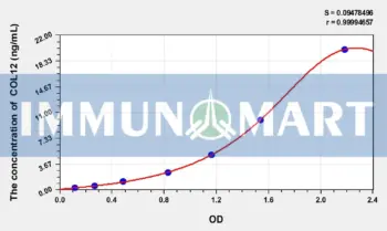 Rat COL12(Collagen Type XII) ELISA Kit