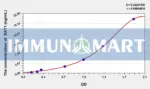 Rat SAT1(Spermidine/Spermine N1-Acetyltransferase 1) ELISA Kit