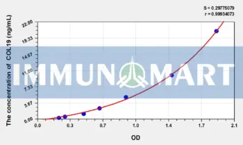 Rat COL19(Collagen Type XIX) ELISA Kit