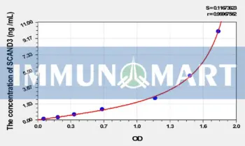 Human SCAND3(SCAN Domain Containing Protein 3) ELISA Kit