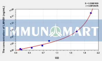 Human LMNB1(Lamin B1) ELISA Kit