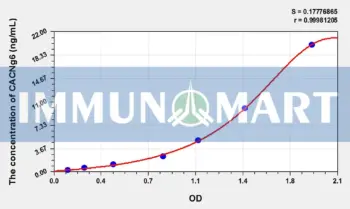 Human CACNg6(Calcium Channel, Voltage Dependent, Gamma Subunit 6) ELISA Kit