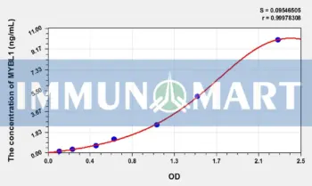 Rat MYBL1(V-Myb Myeloblastosis Viral Oncogene Homolog Like Protein 1) ELISA Kit