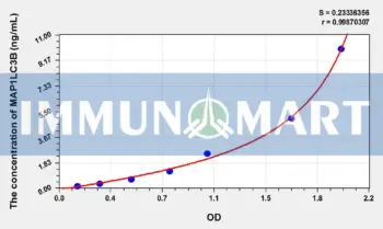 Human MAP1LC3B(Microtubule-associated proteins 1A/1B light chain 3B) ELISA Kit