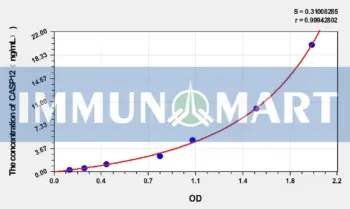 Rat CASP12(Caspase 12) ELISA Kit