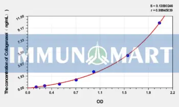 Human Collagenase Ⅰ ELISA Kit