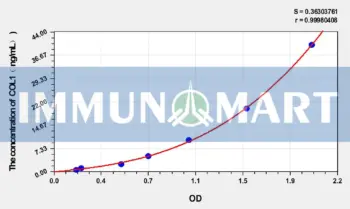 Rabbit COL1(Collagen Type I) ELISA Kit