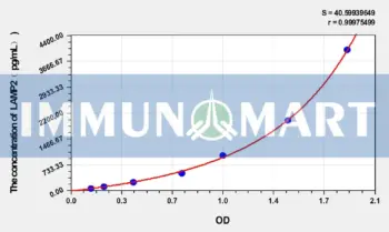 Rabbit LAMP2(Lysosomal Associated Membrane Protein 2) ELISA Kit