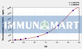 Human FOXC2(Forkhead box protein C2) ELISA Kit