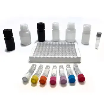 Ampicillin ELISA Test Kit