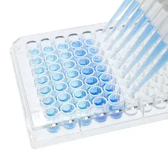 Aflatoxins B1 ELISA test kit