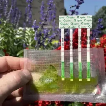 ImmunoComb® for CMV, INSV, TMV, TSWV