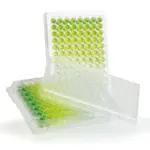 PLRV PathoScreen® Kit for Potato leafroll virus