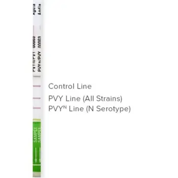 PVY and PVY-n Dual ImmunoStrip® for Potato virus Y and Potato virus Y – necrotic strain,  with sample buffer bags