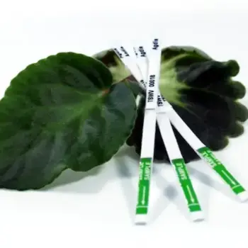 TSWV ImmunoStrip® for Tomato spotted wilt virus- with sample buffer bags