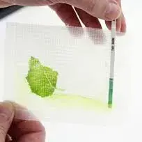 ToBRFV ImmunoStrip® Tomato brown rugose fruit virus- with sample buffer bags