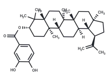 3,4-Dihydroxybenzoyllupeol